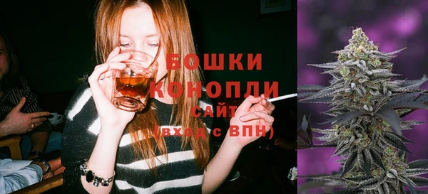 гидра Касимов