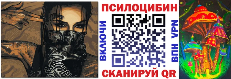 Галлюциногенные грибы Cubensis где продают Кирс